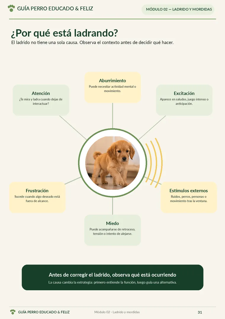 ¿Por qué está ladrando?